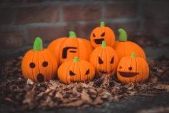 PLA Filament EasyFil PLA 1.75mm White 50 Gram 3D Printer Filament -Office Electronics Store ff easyfil pla pumpkins 2 61216.1621920666