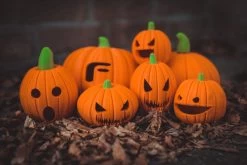 PLA Filament EasyFil PLA 1.75mm Gold 50 Gram 3D Printer Filament -Office Electronics Store ff easyfil pla pumpkins 3 76243.1621920852