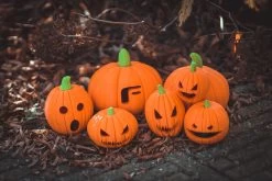 PLA Filament EasyFil PLA 1.75mm White 50 Gram 3D Printer Filament -Office Electronics Store ff easyfil pla pumpkins 4 80885.1621920664