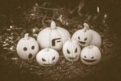 PLA Filament EasyFil PLA 1.75mm White 50 Gram 3D Printer Filament -Office Electronics Store ff easyfil pla pumpkins 5 92099.1621920660